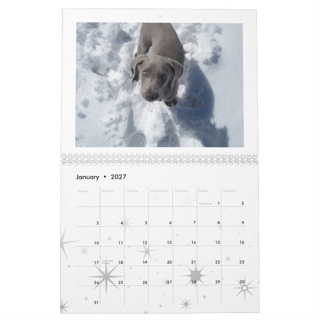 weimaraner 2012 calendar (Jan 2027)