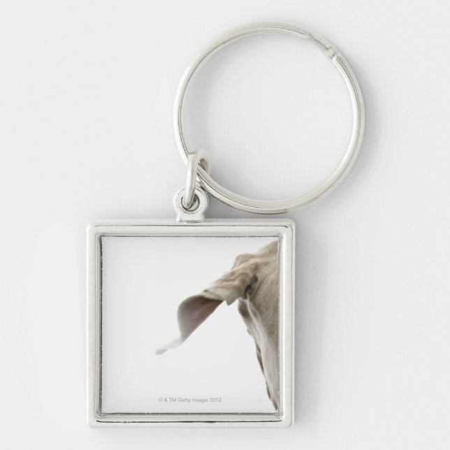 Weimaraner 2 key ring (Front)