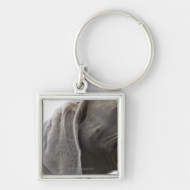 Weimaraner 3 key ring (Front)