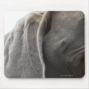 Weimaraner 3 mouse mat