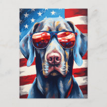 Weimaraner 4th of July Independence day