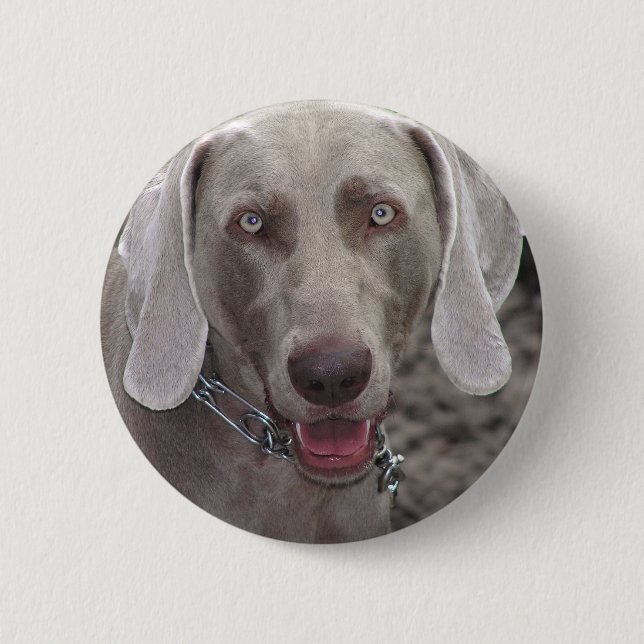 Weimaraner 6 Cm Round Badge (Front)