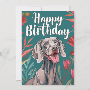 Weimaraner Birthday  Holiday Card