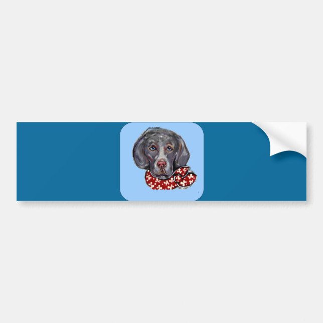 Weimaraner Bumper Sticker (Front)