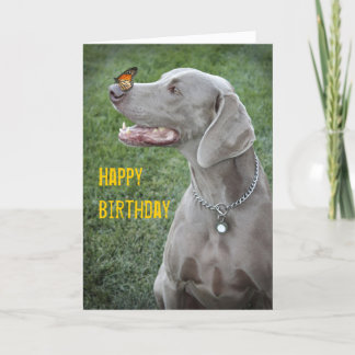 Weimaraner & Butterfly Card
