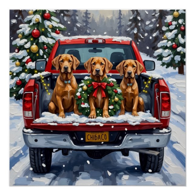 Weimaraner Christmas Red Truck Holiday Poster (Front)