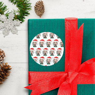Weimaraner Dog Breed Christmas Stars Classic Round Sticker