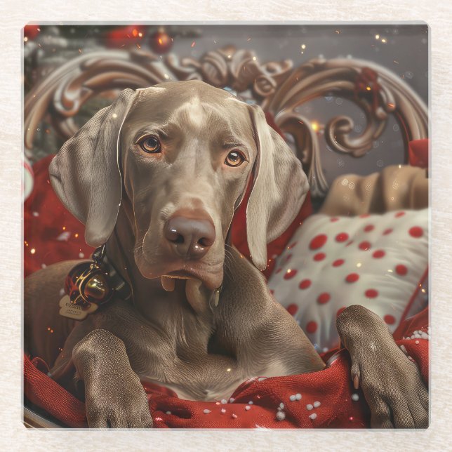 Weimaraner Dog Christmas Festive Glass Coaster (Front)