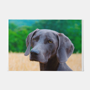 Weimaraner Dog. Doormat