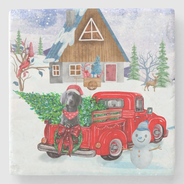 Weimaraner Dog In Christmas Delivery Truck Snow Stone Coaster (Front)