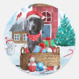 Weimaraner Dog In snow Christmas Dog House Classic Round Sticker