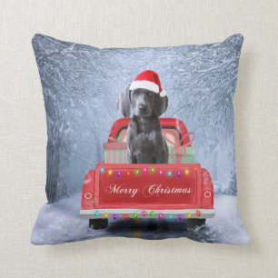 Weimaraner Dog in Snow sitting in Christmas Truck  Cushion