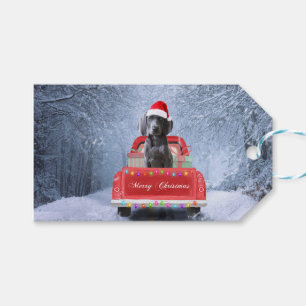 Weimaraner Dog in Snow sitting in Christmas Truck  Gift Tags