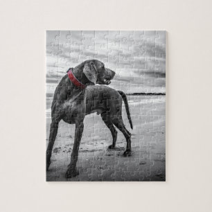 Weimaraner Dog Jigsaw Puzzle