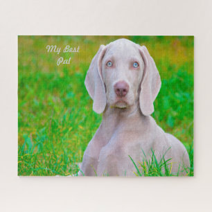 Weimaraner Dog Jigsaws. Jigsaw Puzzle
