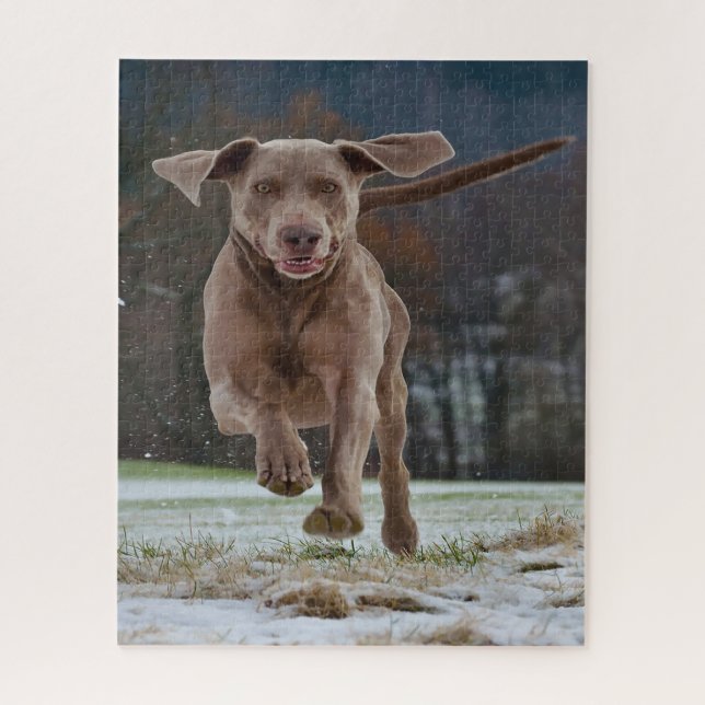 Weimaraner Dog Jigsaws. Jigsaw Puzzle (Vertical)