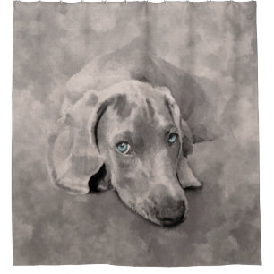 Weimaraner Dog Mixed Media Shower Curtain