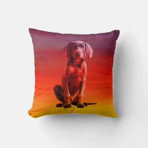 Weimaraner Dog Sitting On Beach Cushion