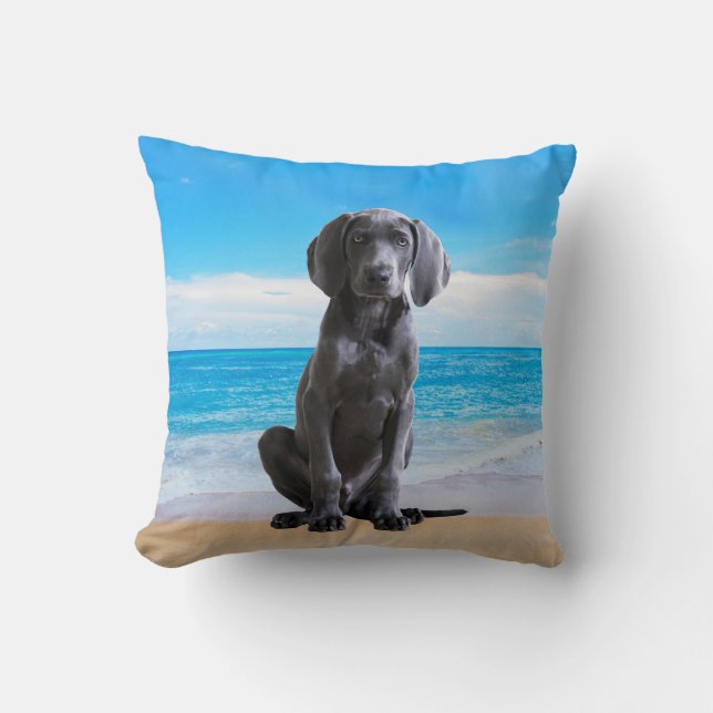Weimaraner Dog Sitting On Beach Cushion (Front)