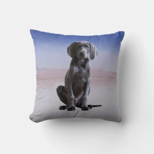 Weimaraner Dog Sitting On Beach Cushion