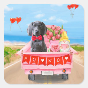 Weimaraner Dog Valentine's Day Truck Hearts Square Sticker