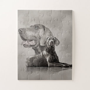 Weimaraner Dogs Collage #2 Jigsaw Puzzle