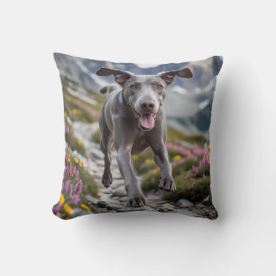Weimaraner Elegant Throw Pillow