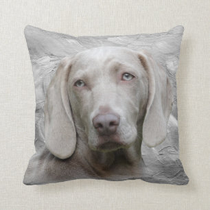 Weimaraner face cushion