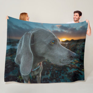 WEIMARANER FLEECE BLANKET