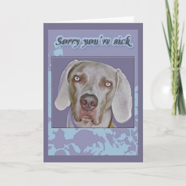 Weimaraner Get Well Card (Front)