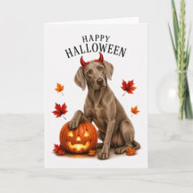Weimaraner Halloween Devil Dog