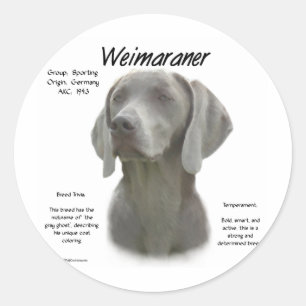 Weimaraner History Design Classic Round Sticker