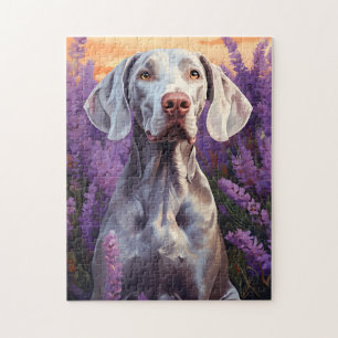 Weimaraner in Lavender field Jigsaw Puzzle