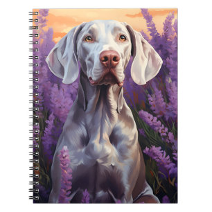 Weimaraner in Lavender field Notebook