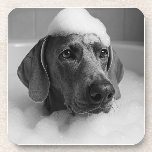 Weimaraner in the bath with bubbles on his head coaster (Front)