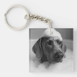 Weimaraner in the bath with bubbles on his head key ring