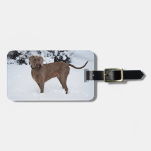Weimaraner In Winter Luggage Tag