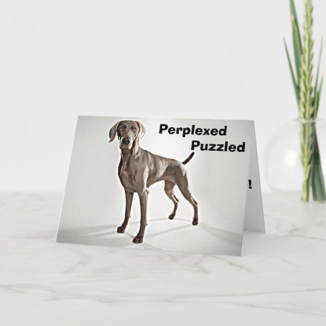 WEIMARANER IS PERPLEXED/PUZZLED U R 40! CARD (Front)