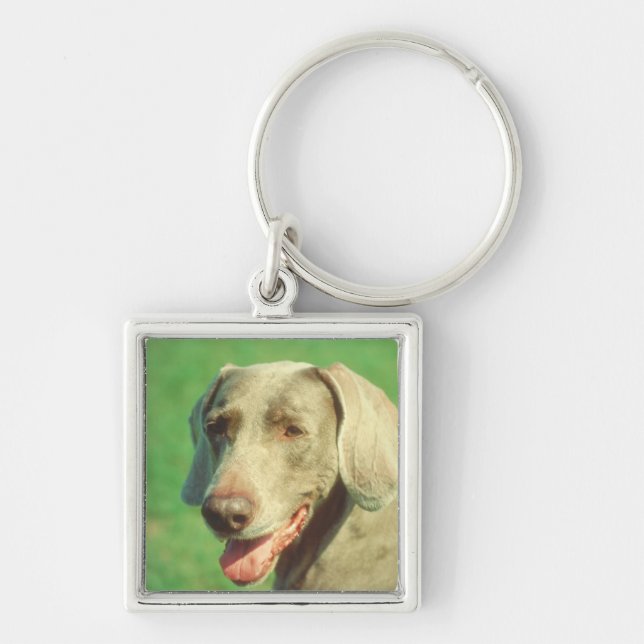Weimaraner Key Ring (Front)