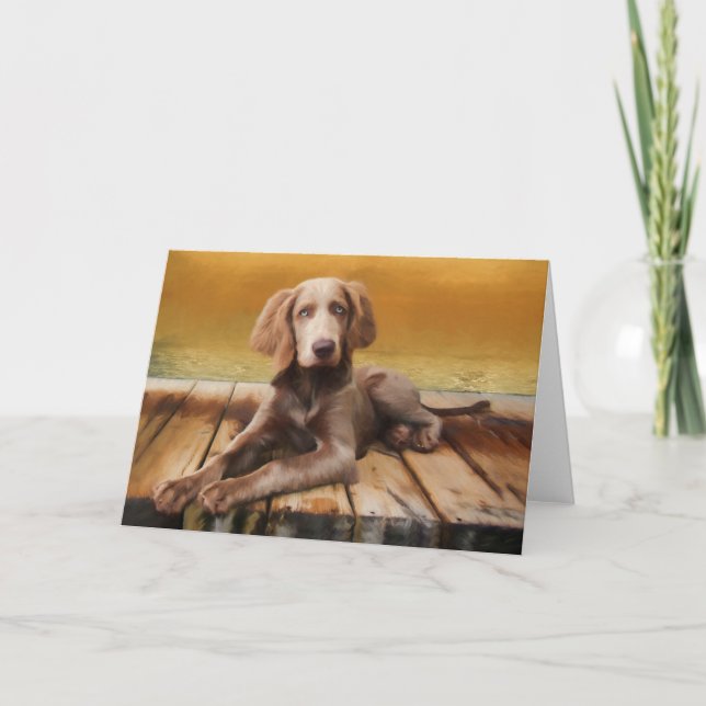 Weimaraner (Longhair) Greeting Card (Front)