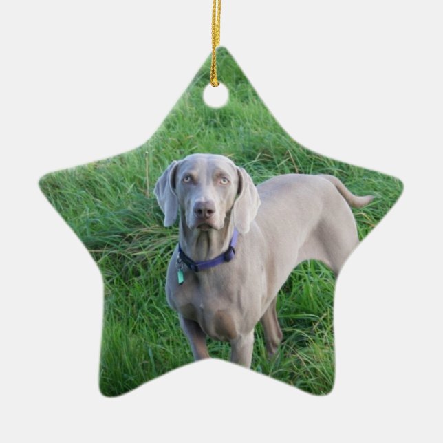 Weimaraner Lovers Ornament (Front)