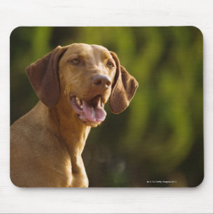 Weimaraner Mouse Mat