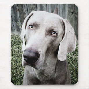 Weimaraner Mouse Mat