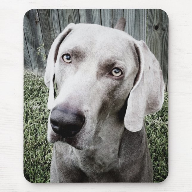 Weimaraner Mouse Mat (Front)