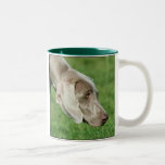 Weimaraner Mug<br><div class="desc">Weimaraner mug</div>