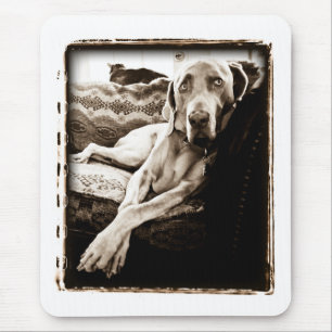 Weimaraner Nation : "Ballou's Chair" Mouse Mat