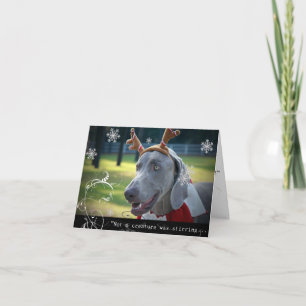 Weimaraner Nation: "Not a creature was stirring... Holiday Card