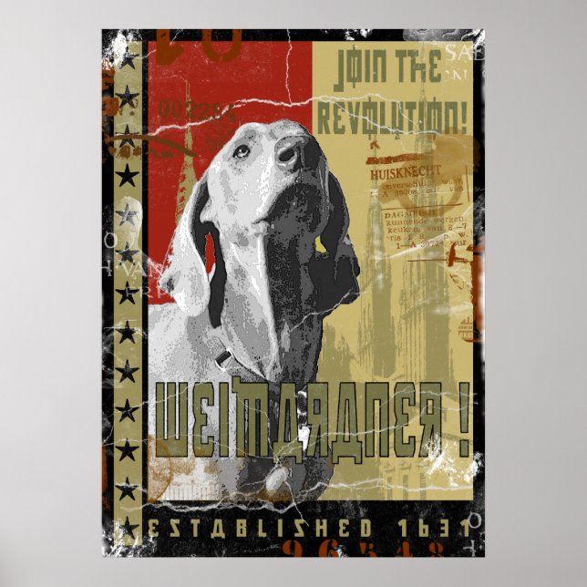 Weimaraner nation : Vintage Weimaraner! Poster (Front)