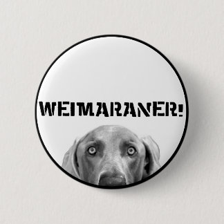 Weimaraner Nation : Weimaraner In A Box! 6 Cm Round Badge