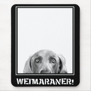 Weimaraner Nation : Weimaraner In A Box! Mouse Mat